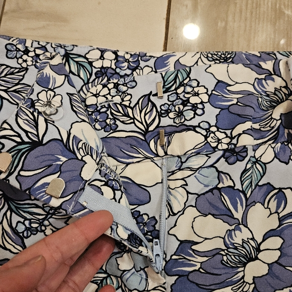 ANN TAYLOR SIGNATURE SHORTS SIZE 8 - Picture 2 of 4